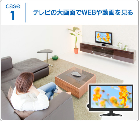 case1 テレビの大画面でWEBや動画を見る