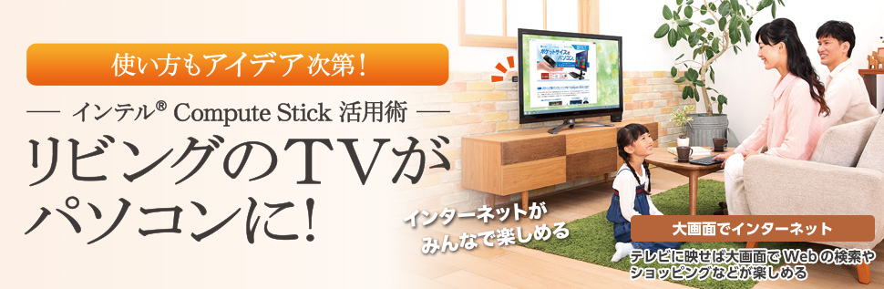 使い方もアイデア次第！リビングのTVがパソコンに！テレビに映せば大画面でWebの検索やショッピングなどが楽しめる