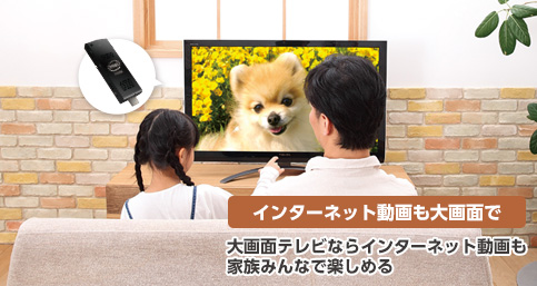 【インターネット動画も大画面で】大画面テレビならインターネット動画も家族みんなで楽しめる