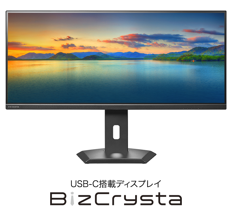 USB-C搭載ディスプレイ BizCrysta