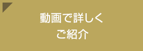 動画で詳しくご紹介