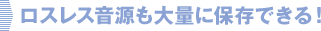 ロスレス音源も大量に保存できる！