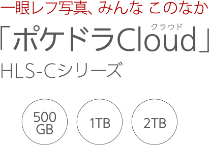 一眼レフの写真 みんな、このなか「ポケドラCloud 」HLS-Cシリーズ