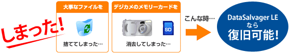 図：2つの復旧方法で様々な”しまった”に対応！