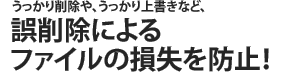 うっかり削除や、うっかり上書きなど、誤削除によるファイルの損失を防止！