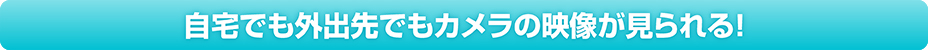 自宅でも外出先でもカメラの映像が見られる！